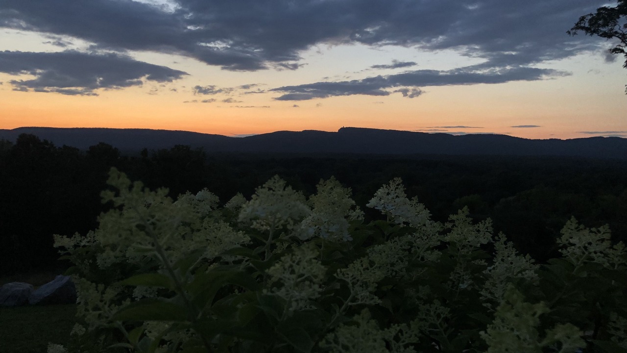 Photo of Others in New Paltz