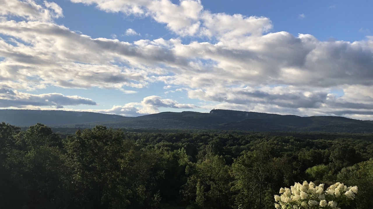 Photo of Others in New Paltz