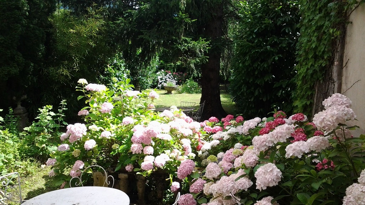 Photo of Outdoor in Bagneres-de-Luchon