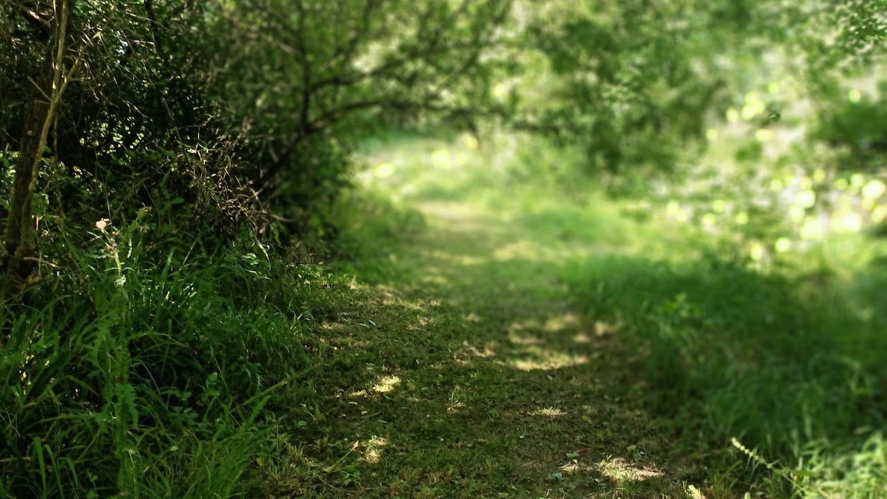 Photo of Others in Boisredon