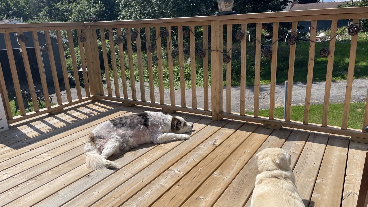 Photo of Outdoor in Sydney