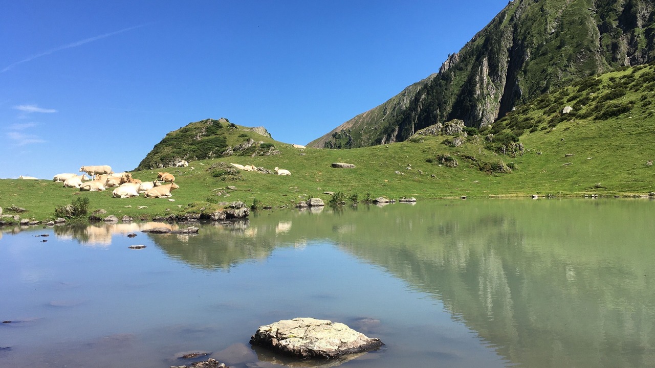 Photo of Others in Arreau