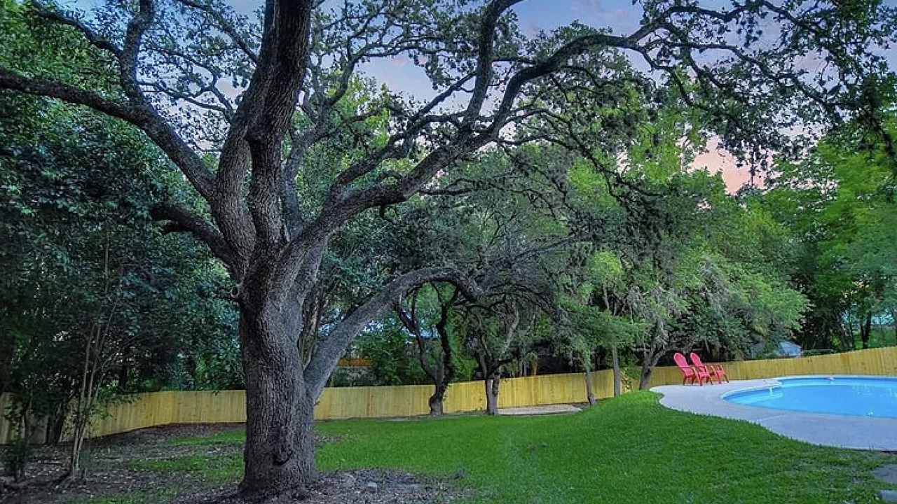 Photo of Others in South Manchaca