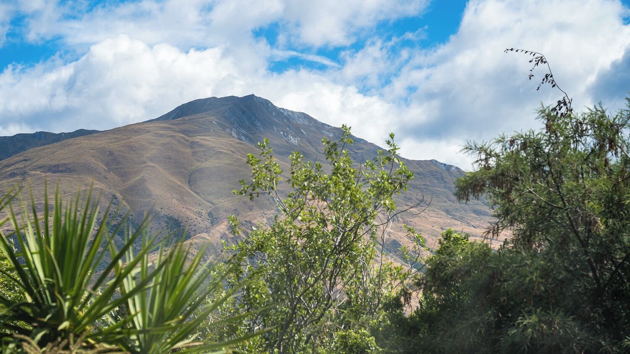 Photo of Others in Wanaka