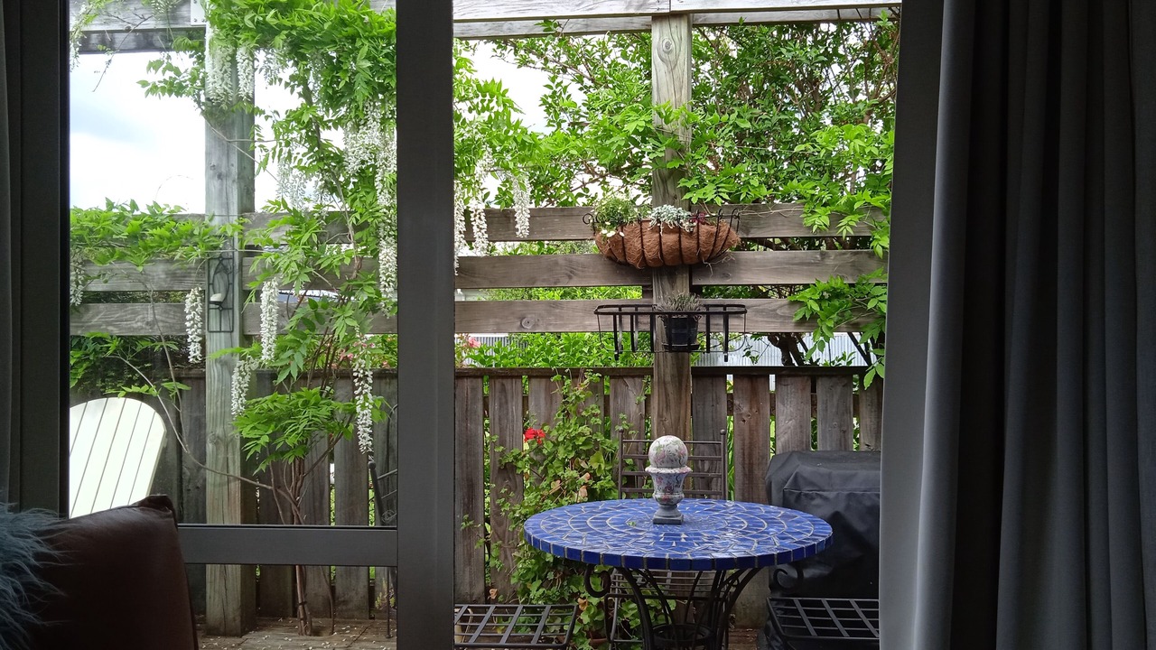 Photo of Others in Greytown