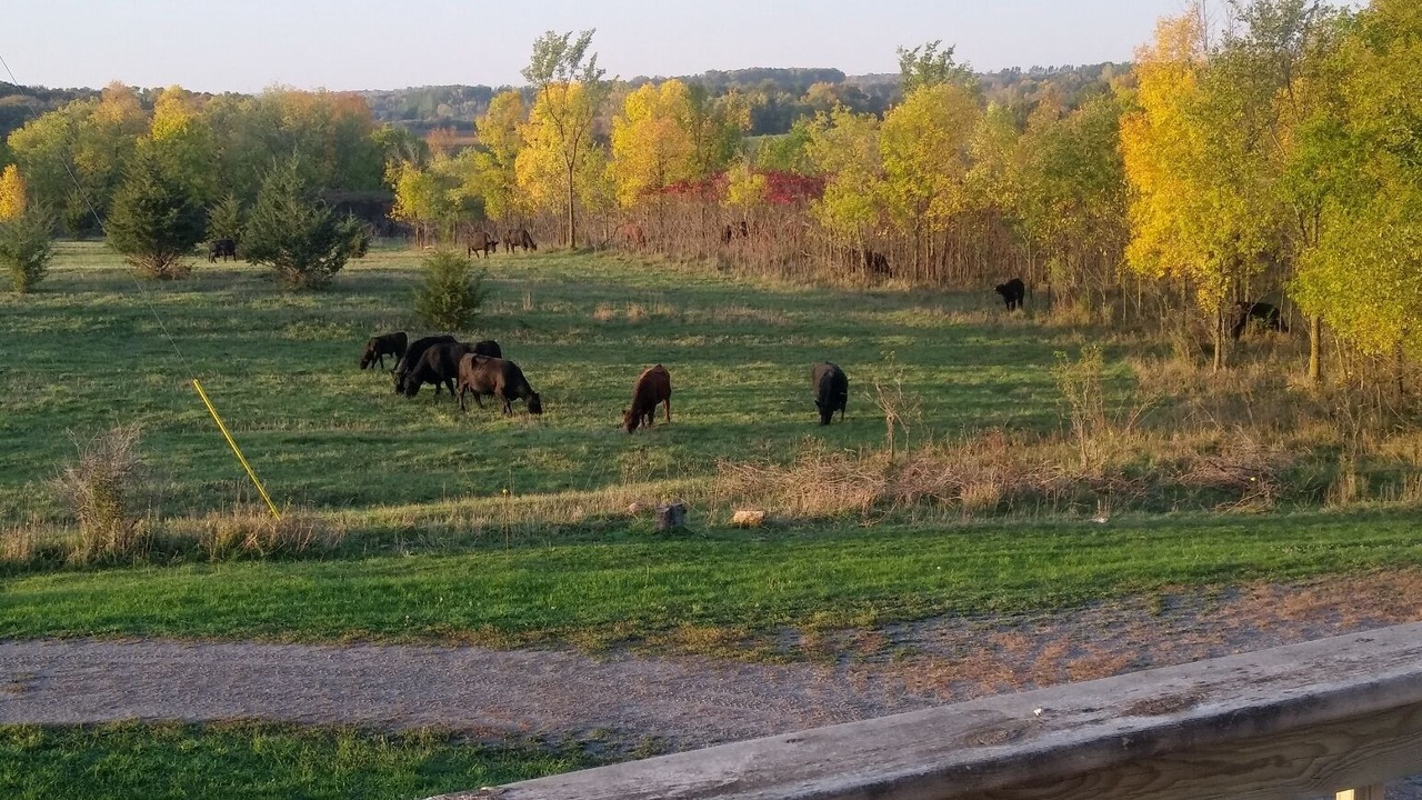 Photo of Outdoor in Eden Valley