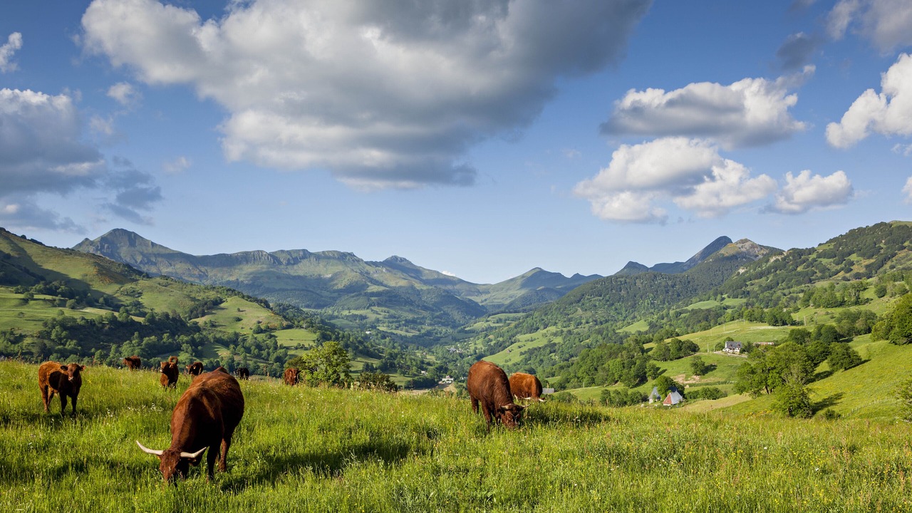 Photo of Outdoor in Pailherols