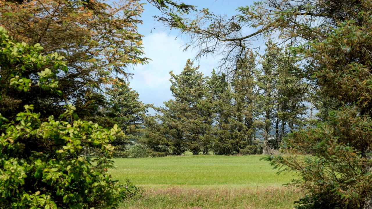 Photo of Others in Skjern