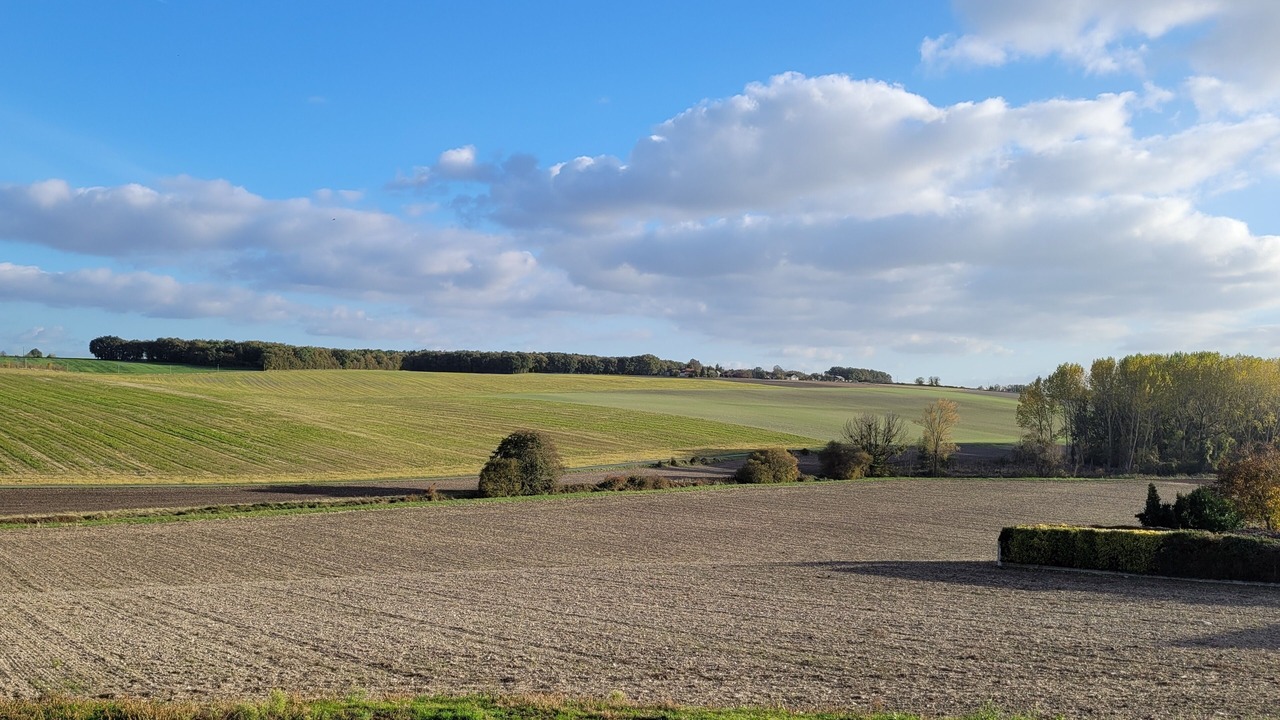 Photo of Others in Theneuil