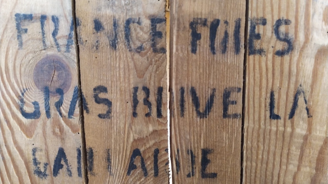 Photo of Outdoor in Carsac-Aillac