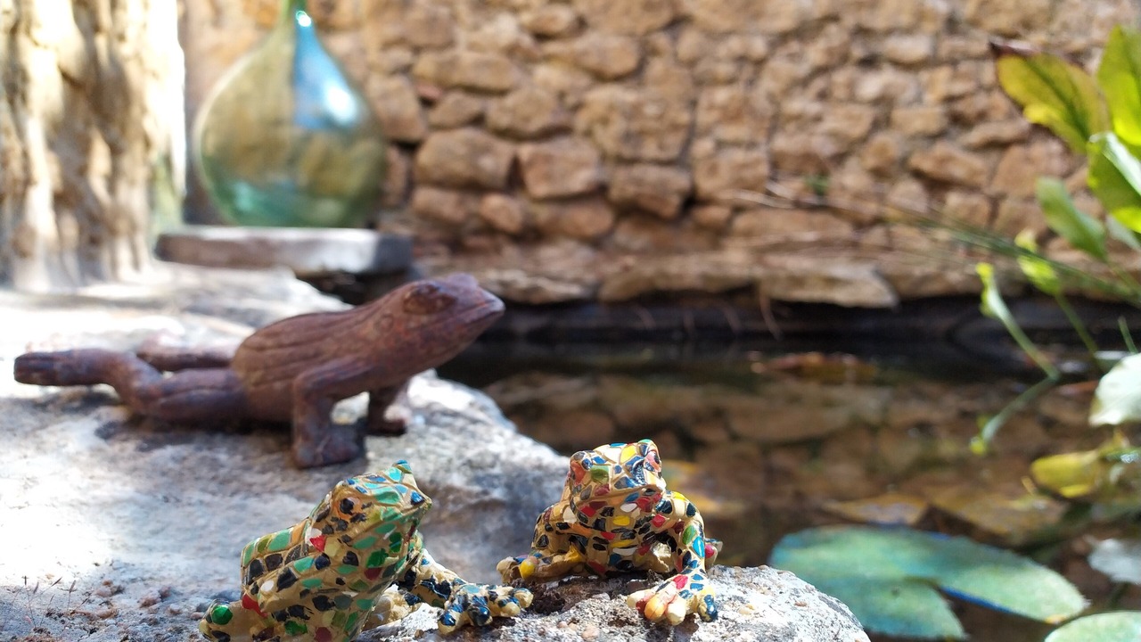 Photo of Outdoor in Carsac-Aillac