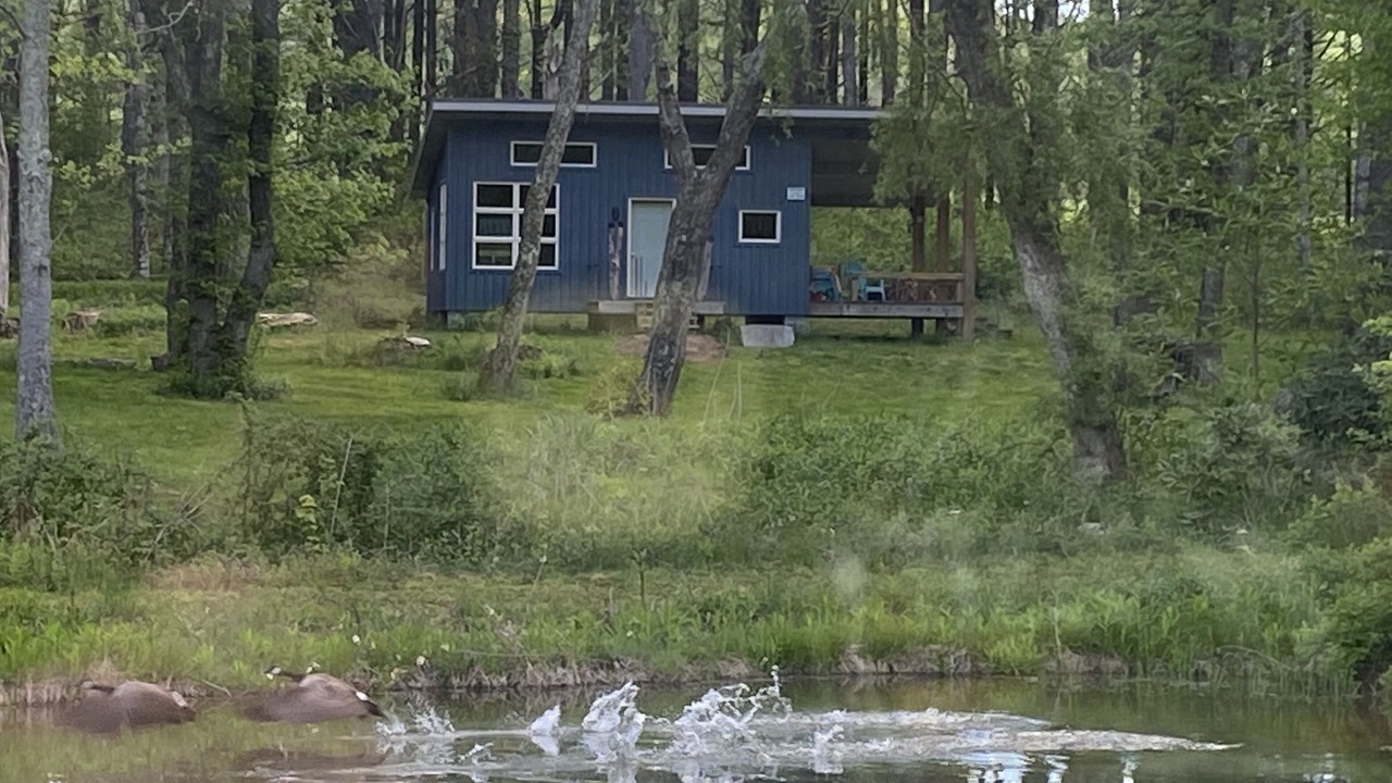 Photo of Others in Meadows Of Dan