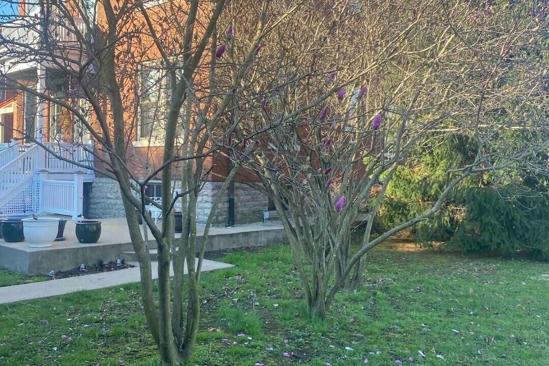 Photo of Outdoor in Covington