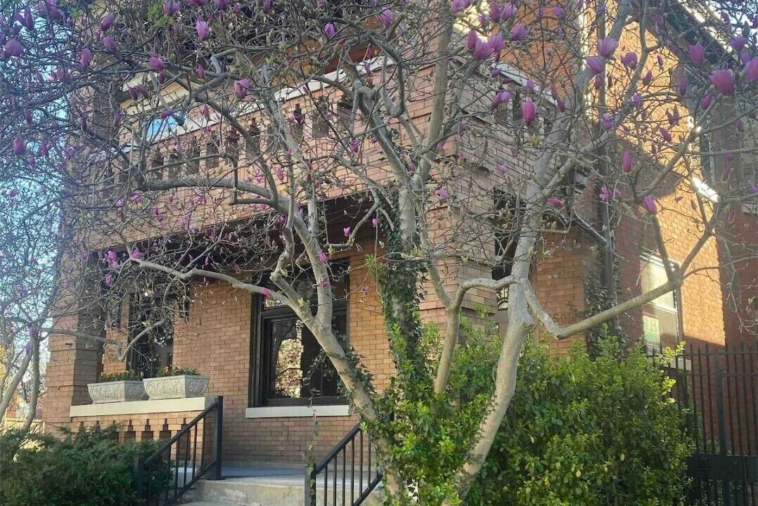 Photo of Outdoor in Covington