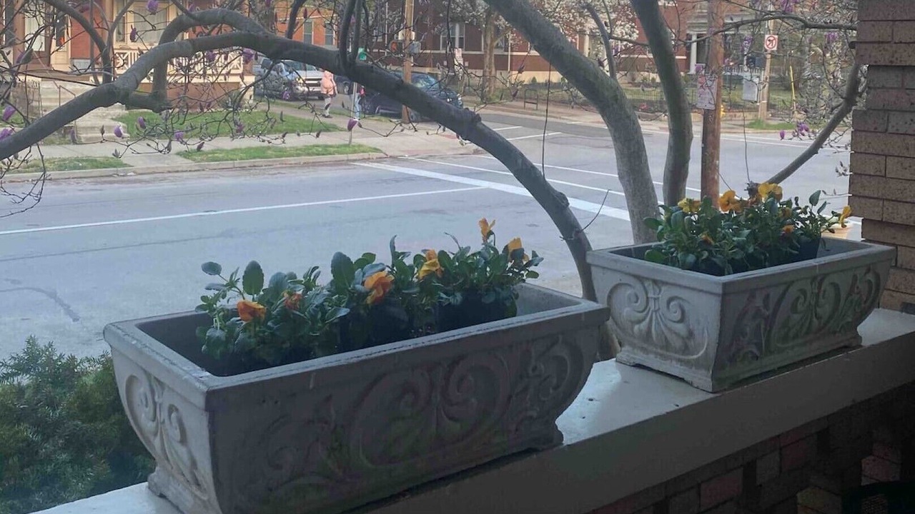 Photo of Outdoor in Covington