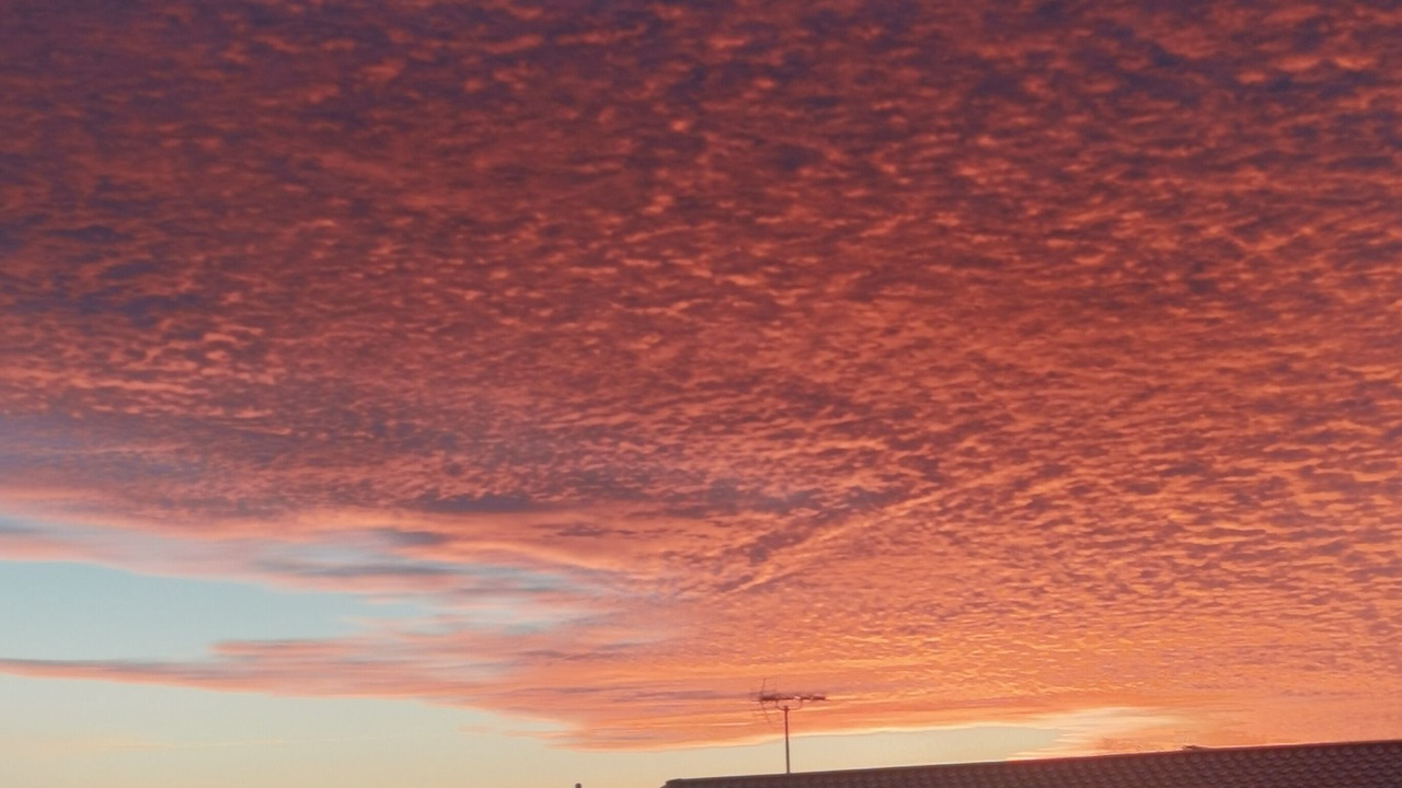 Photo of Others in Swalecliffe