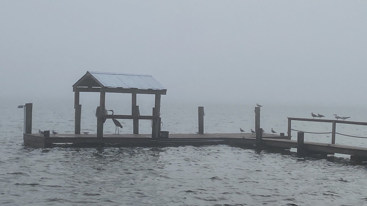 Photo of Others in San Patricio County