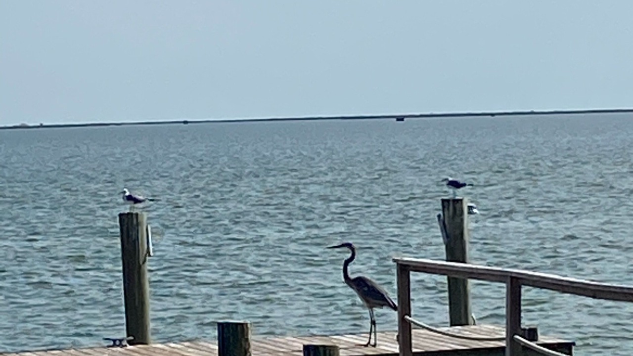 Photo of Others in San Patricio County