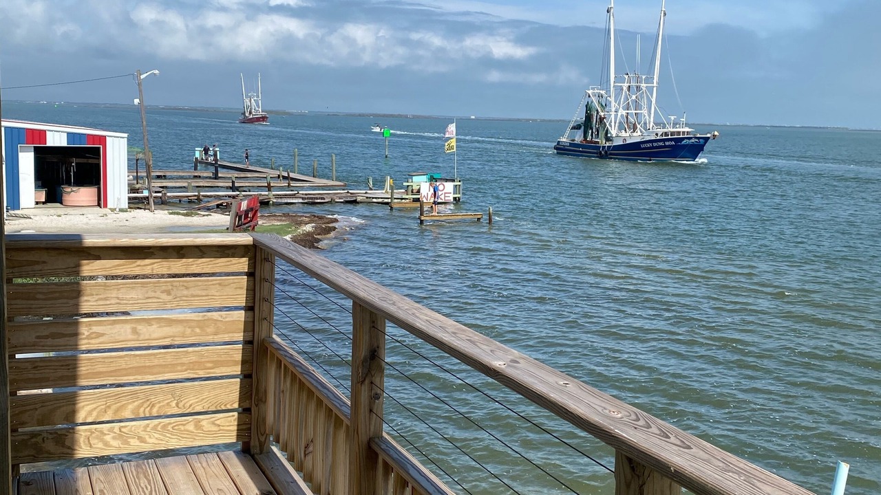 Photo of Outdoor in San Patricio County