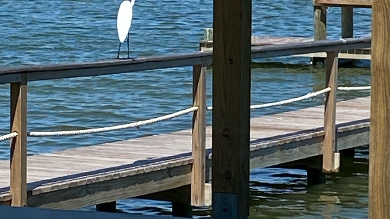 Photo of Others in San Patricio County