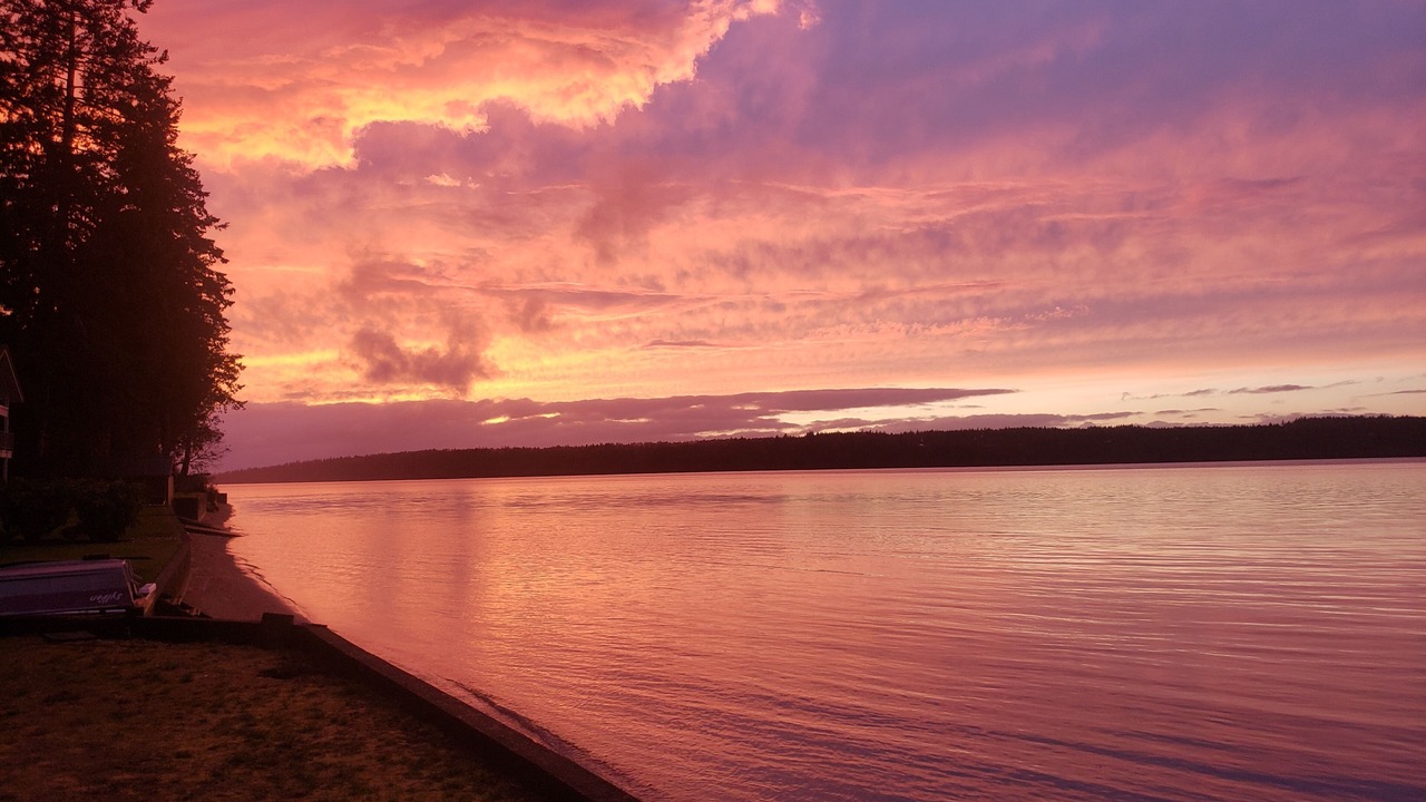 Photo of Others in Tillicum