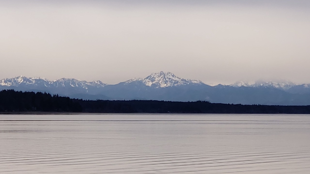 Photo of Others in Tillicum