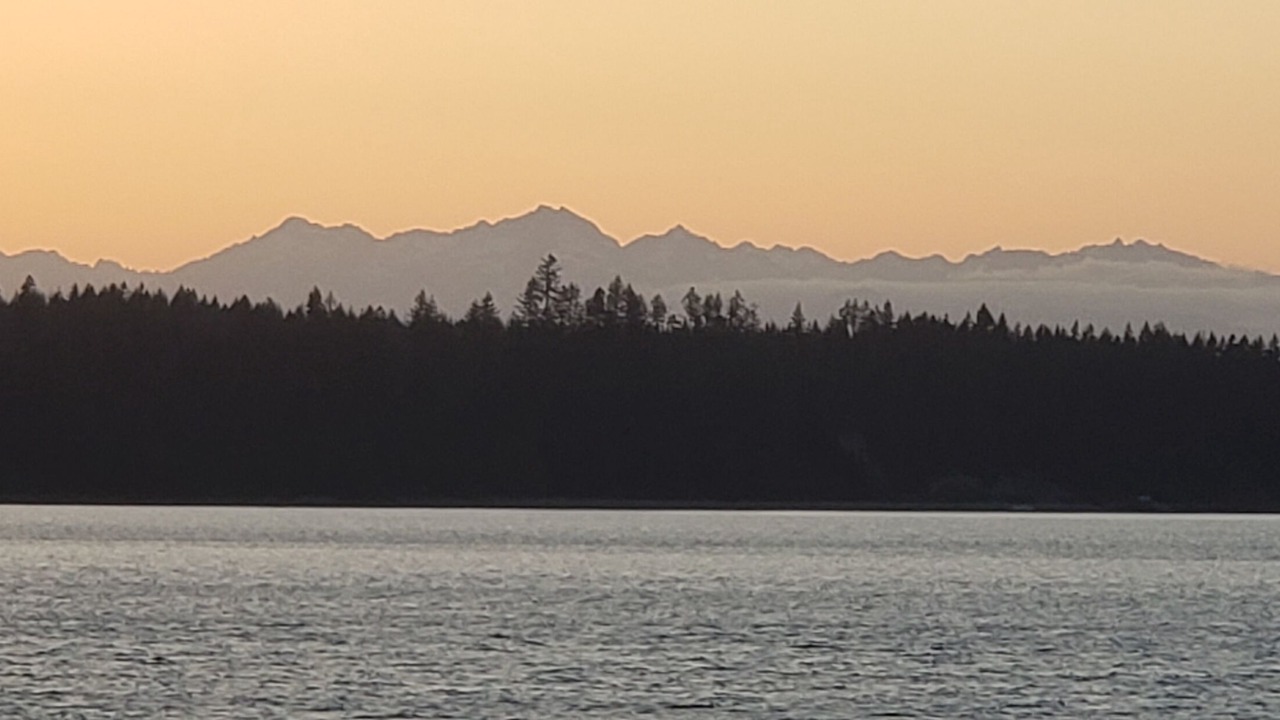 Photo of Others in Tillicum