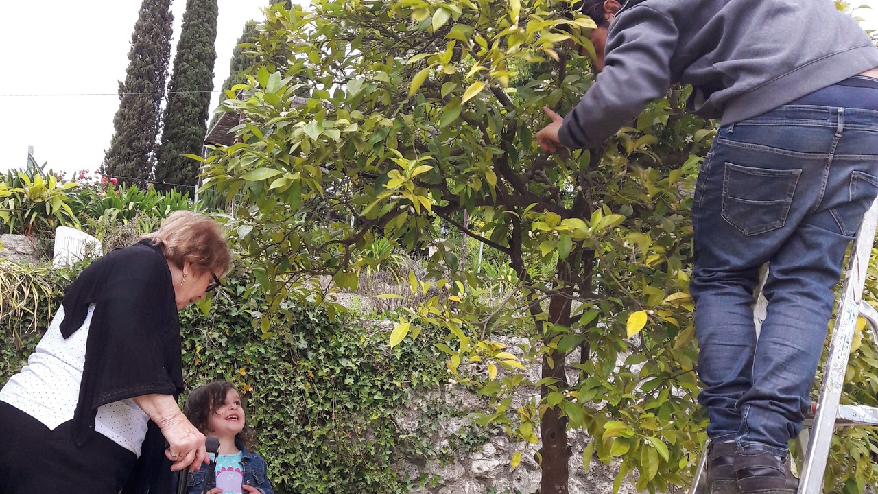Photo of Outdoor in Le Bar-sur-Loup