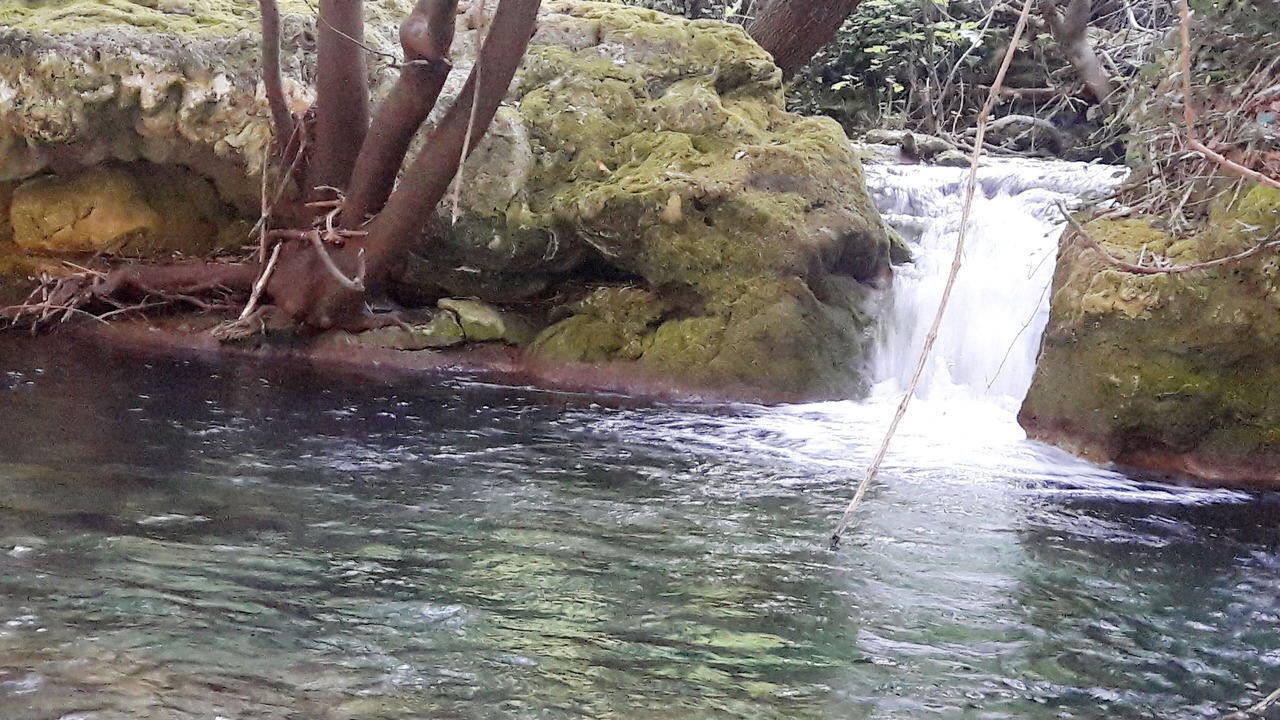 Photo of Outdoor in Le Bar-sur-Loup