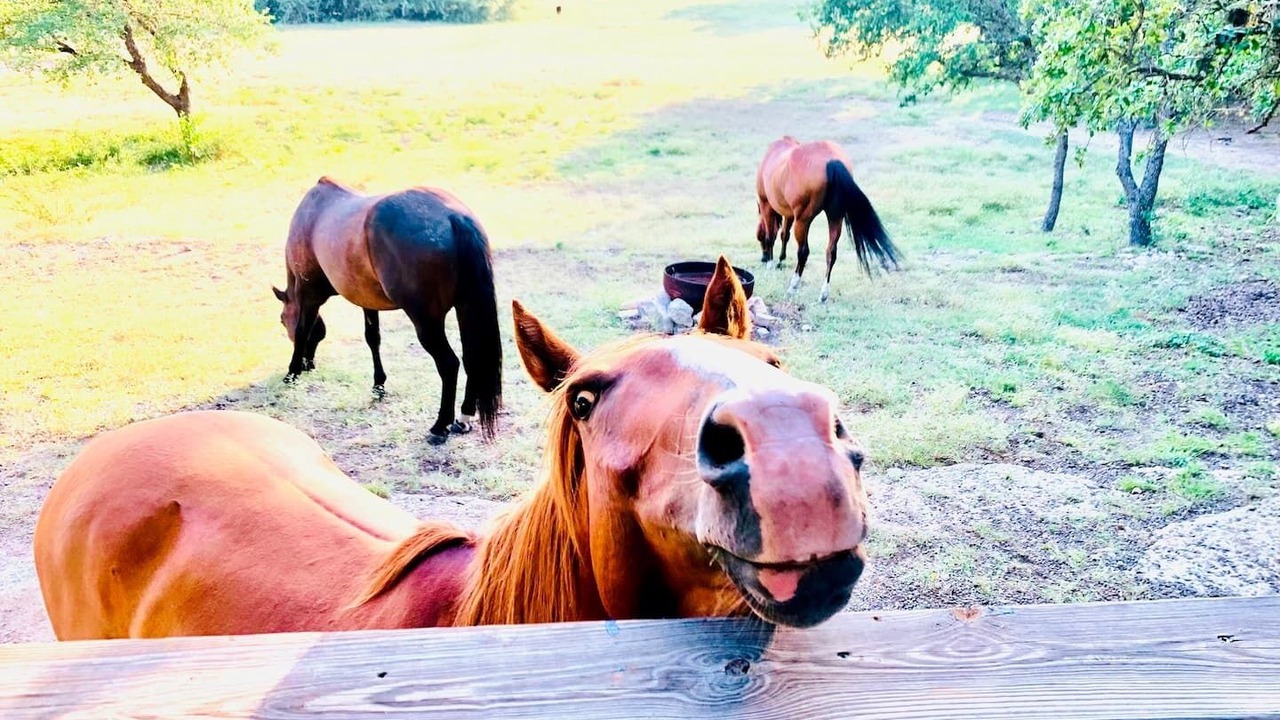 Photo of Others in Round Mountain