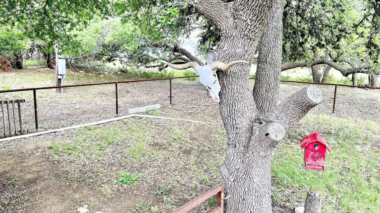 Photo of Others in Round Mountain