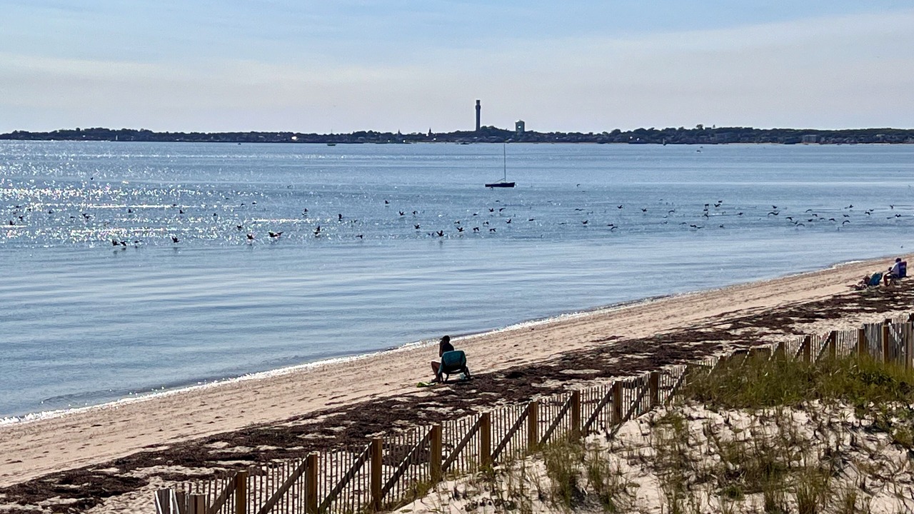 Photo of Others in North Truro