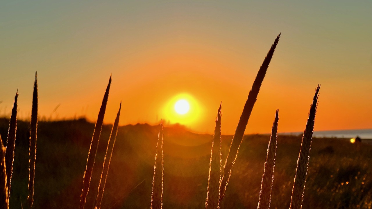 Photo of Others in North Truro