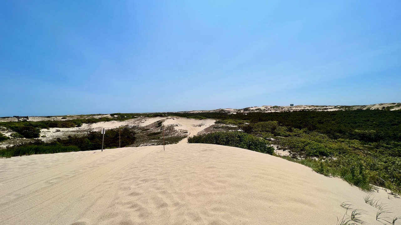 Photo of Others in North Truro