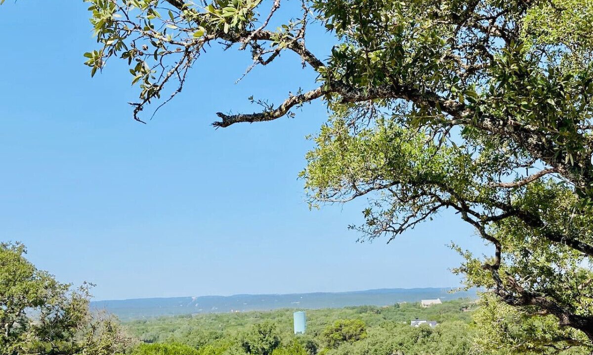 Photo of Others in Spring Branch