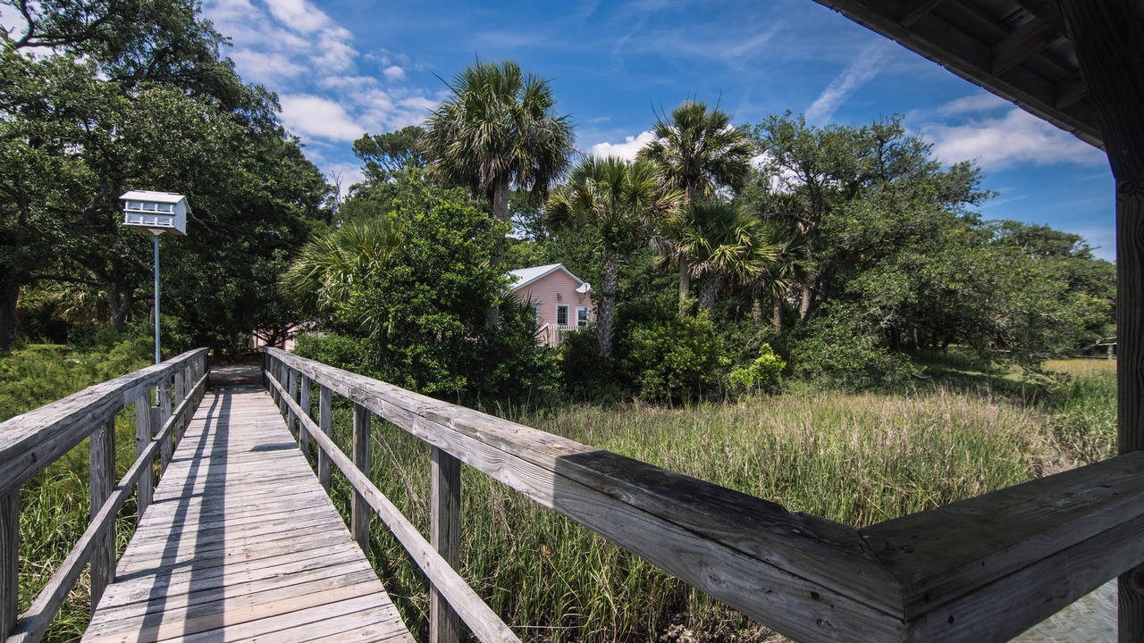 Photo of Outdoor in Edisto Island