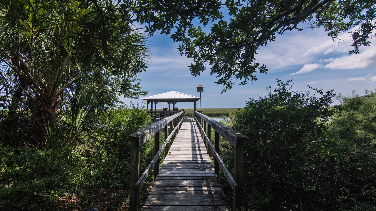 Photo of Outdoor in Edisto Island
