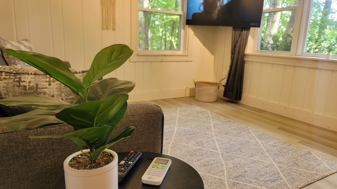 Photo of Livingroom in Big Rapids