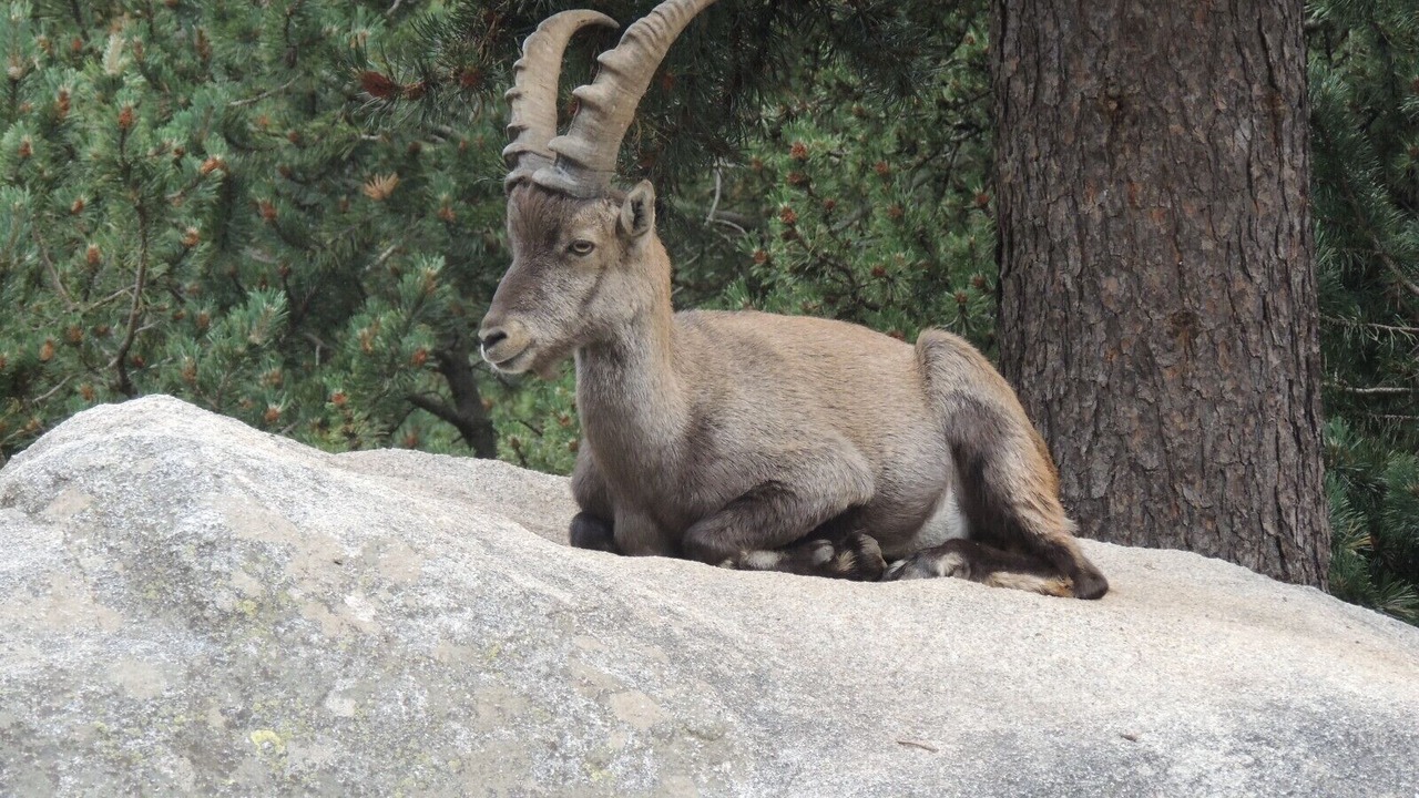 Photo of Outdoor in Font-Romeu-Odeillo-Via