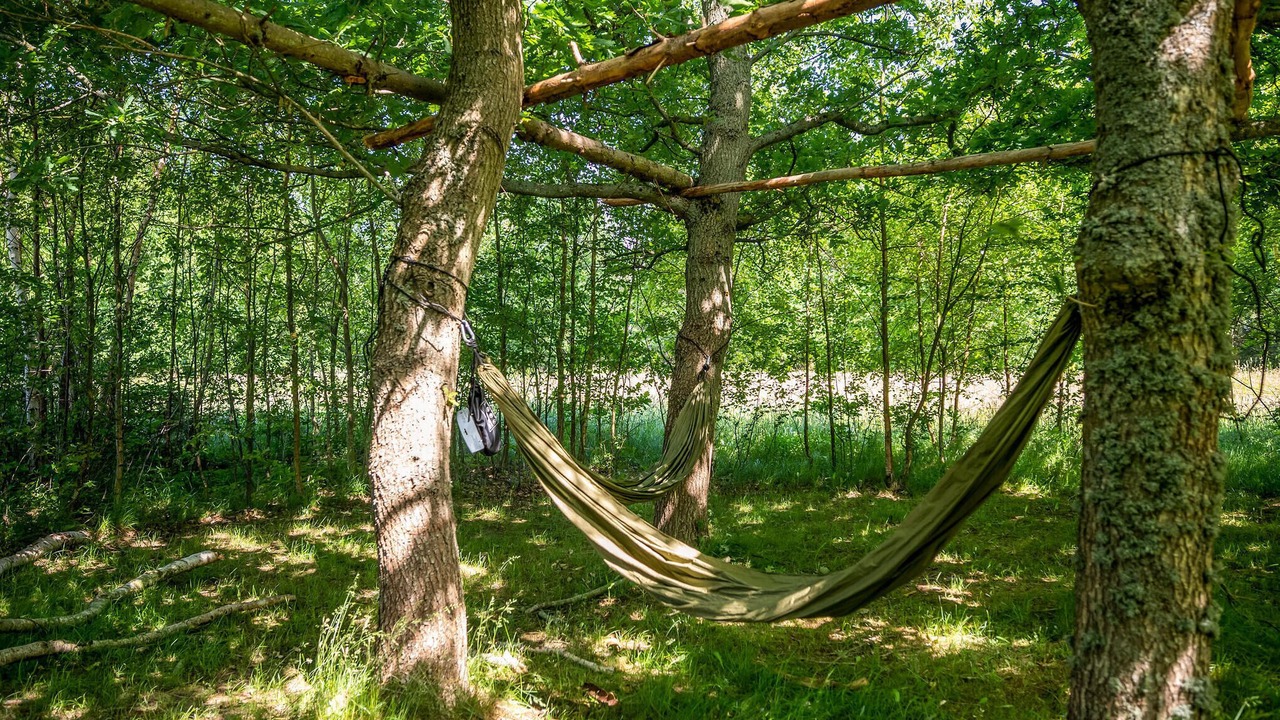 Photo of Others in Ørsted