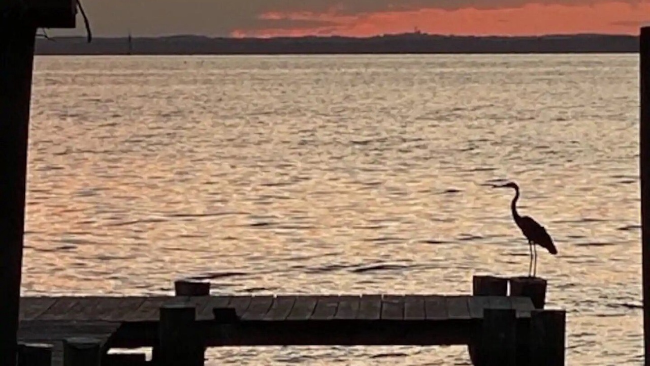 Photo of Others in Stevensville