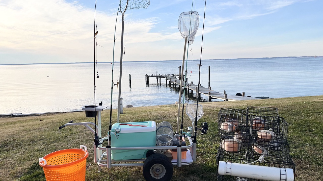 Photo of Others in Stevensville