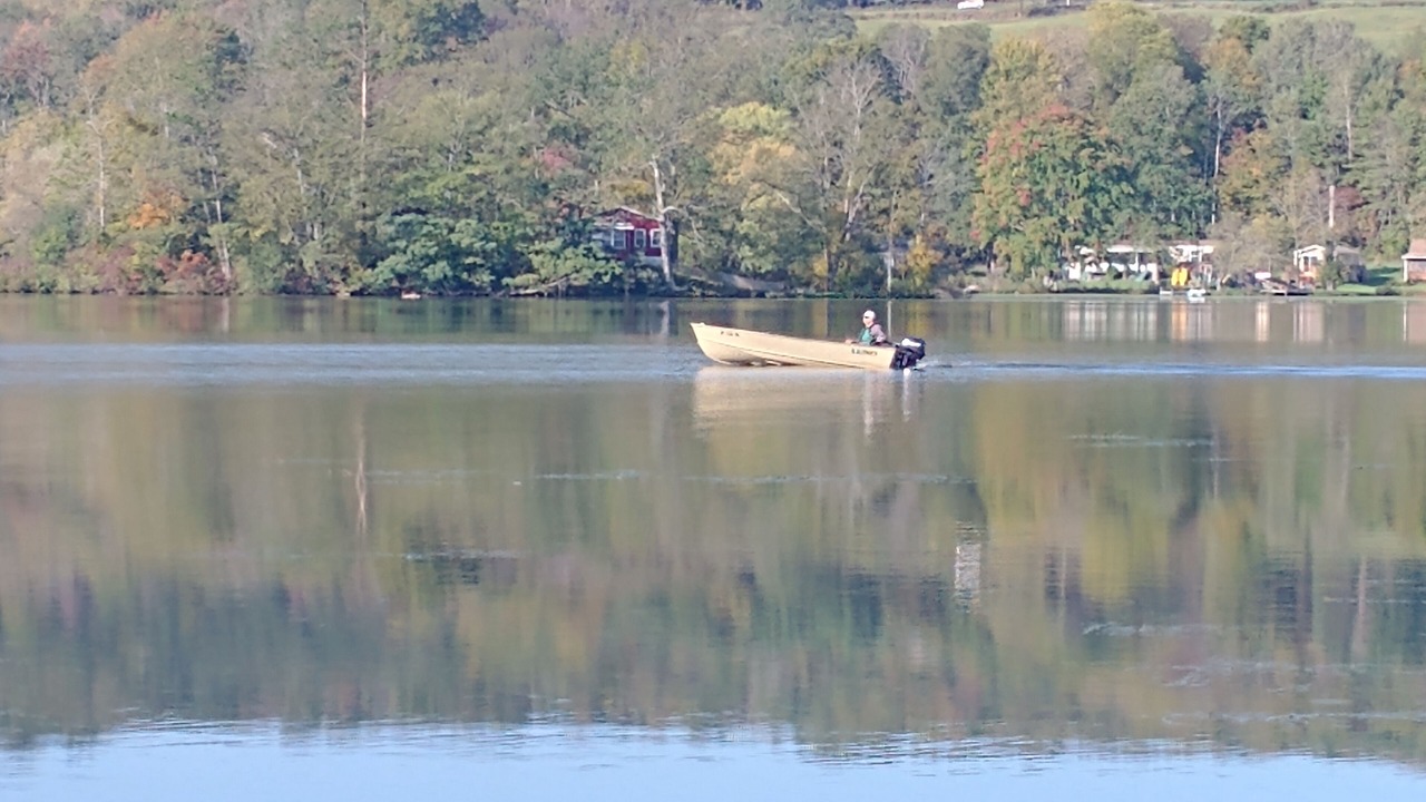 Photo of Others in Bradford
