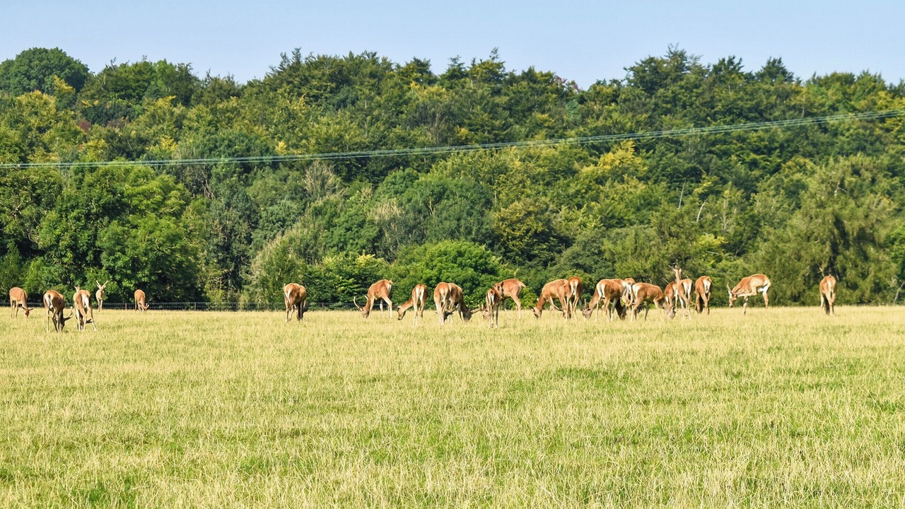 Photo of Others in Carlton-in-Cleveland