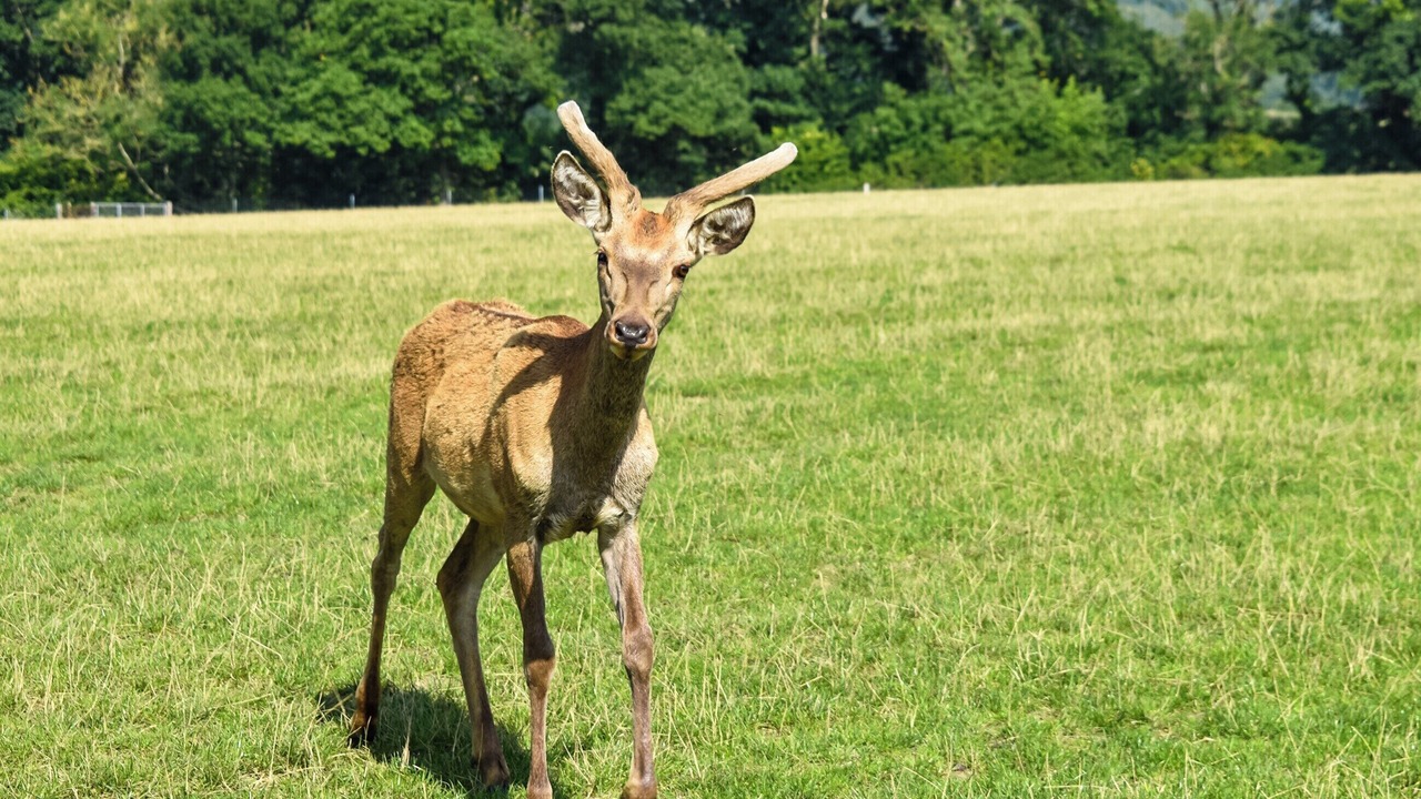 Photo of Others in Carlton-in-Cleveland