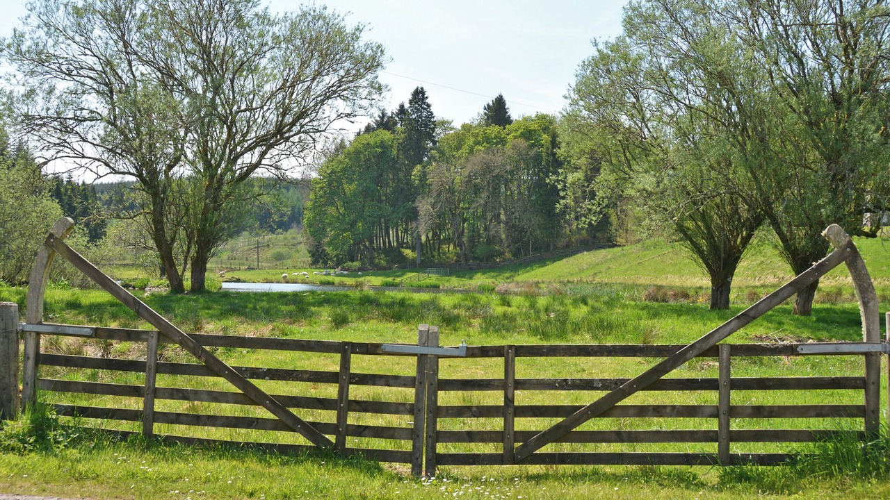 Photo of Others in Hawick