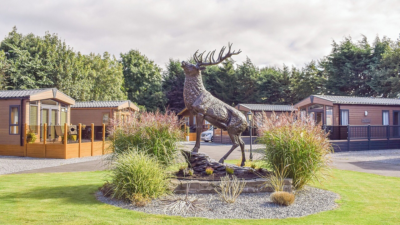 Photo of Others in Auchterarder