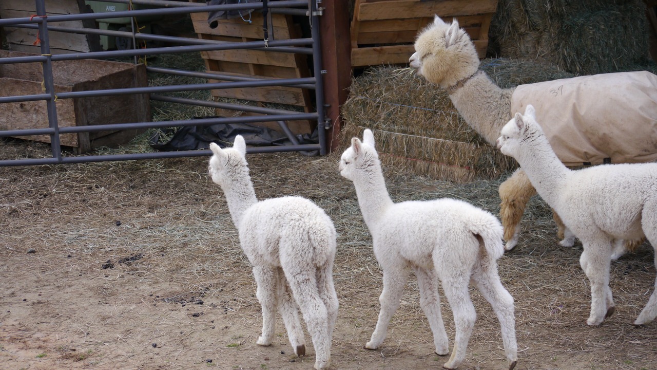 Photo of Outdoor in Lincoln