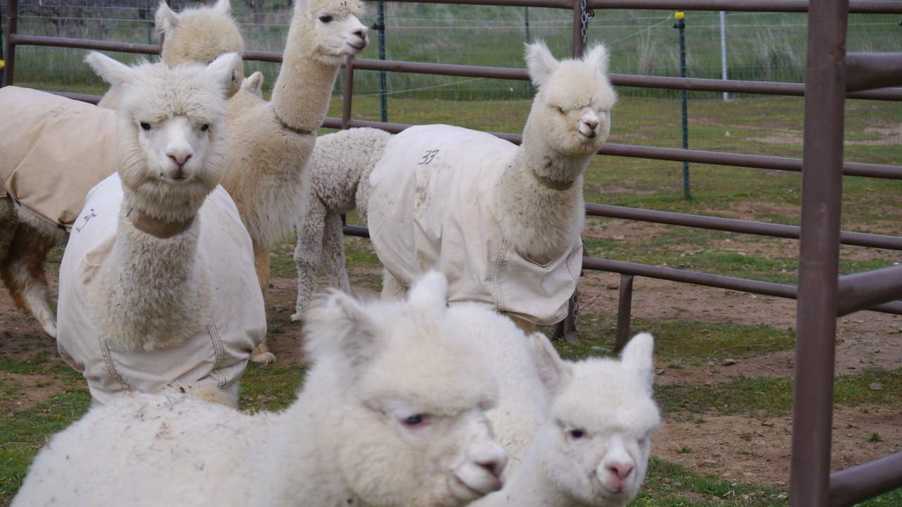 Photo of Outdoor in Lincoln