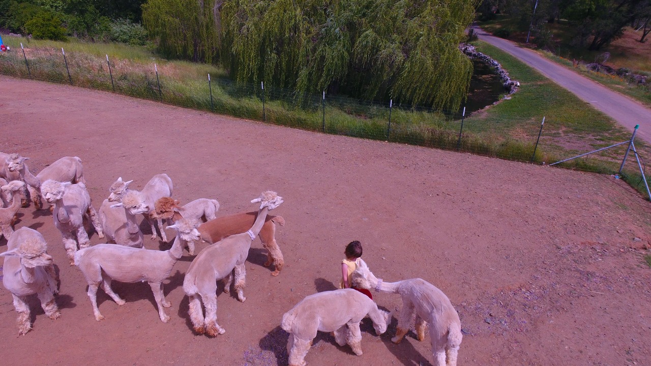 Photo of Others in Lincoln